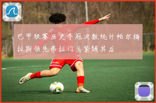 巴甲联赛历史夺冠次数统计帕尔梅拉斯领先弗拉门戈紧随其后