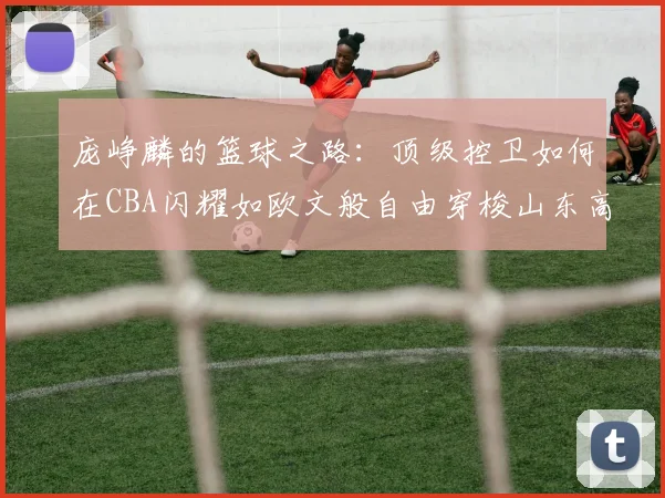 庞峥麟的篮球之路：顶级控卫如何在CBA闪耀如欧文般自由穿梭山东高速