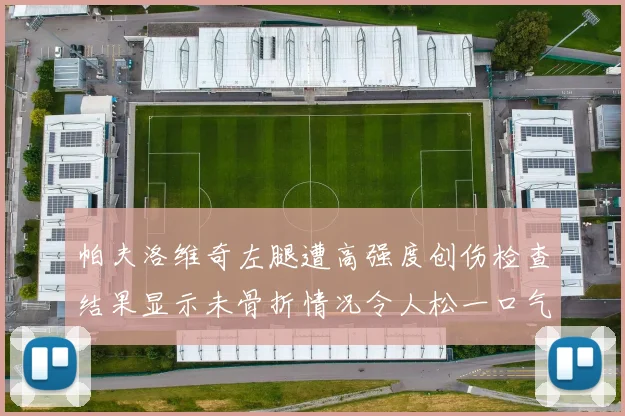 帕夫洛维奇左腿遭高强度创伤检查结果显示未骨折情况令人松一口气