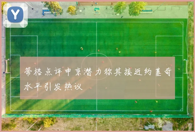 蒂格点评申京潜力称其接近约基奇水平引发热议